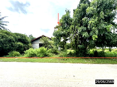 Houses for sale Roi Et : HOME 1826.6 Sq.w. Phon Thong Roi Et for 5.6M