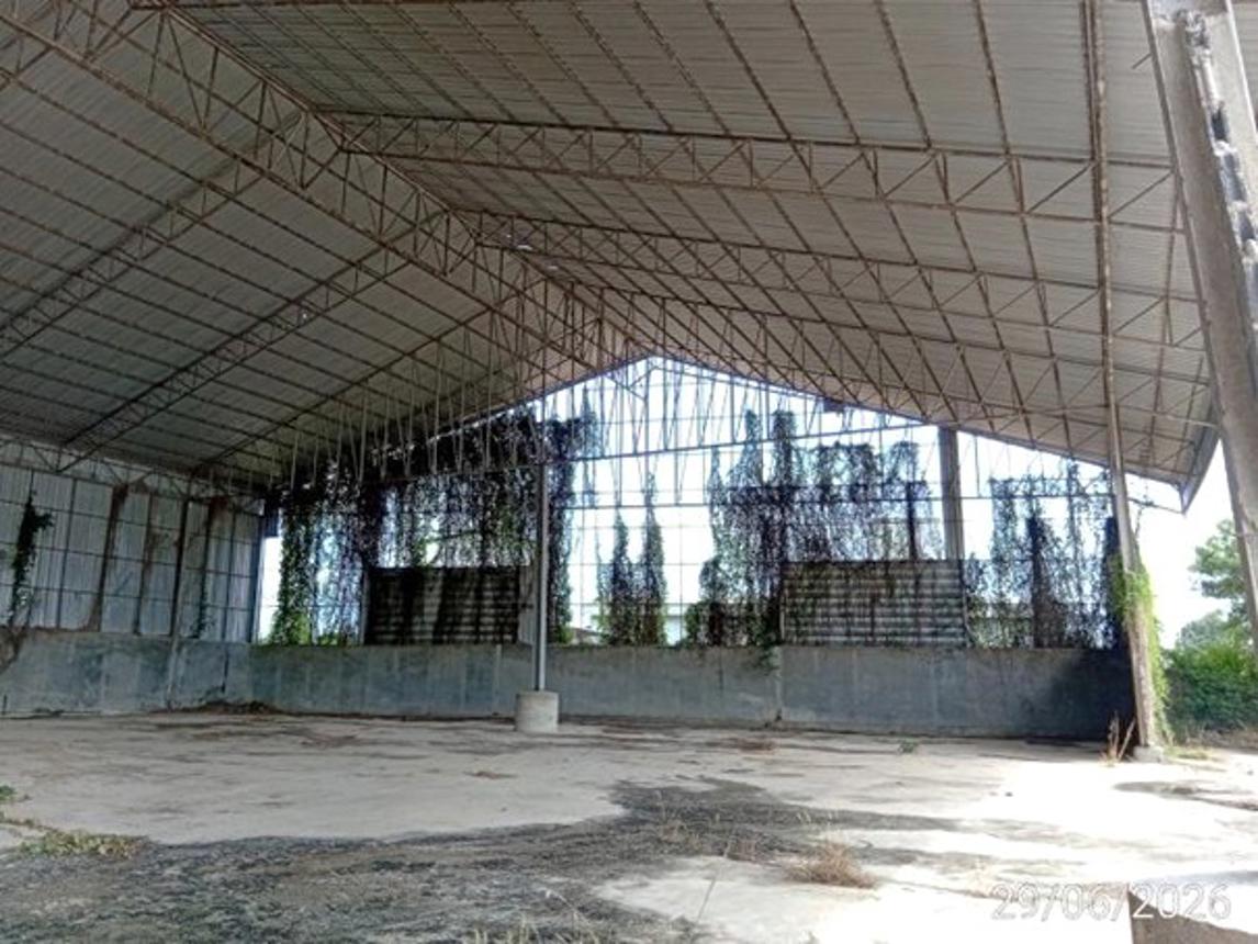 picture FACTORY 11967 Sq.w. Tha Li Loei for 71.7M - 31/53