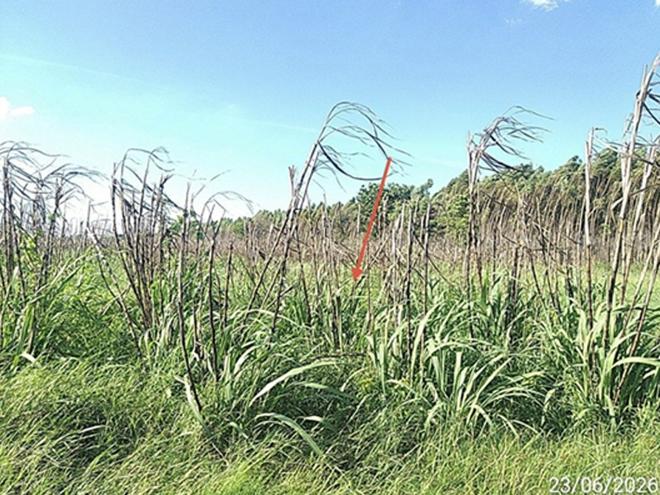 picture LAND 8416.6 Sq.w. Aranyaprathet Srakaeo for 9.4M - 10/25