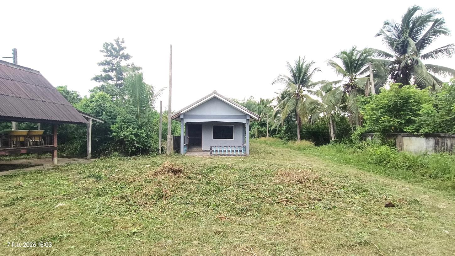 รูป บ้านเดี่ยว 7282 ตร.วา สะเดา สงขลา 14.8M - รูปที่ 45/53