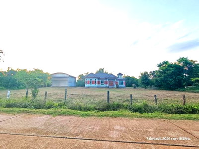 บ้านเดี่ยว เจริญศิลป์ สกลนคร : บ้านเดี่ยว 800 ตร.วา เจริญศิลป์ สกลนคร 4.8M