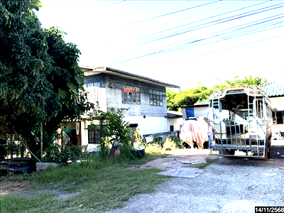 Houses for sale Phu Khieo Chaiyaphum : HOME 178 Sq.w. Phu Khieo Chaiyaphum for 1.6M