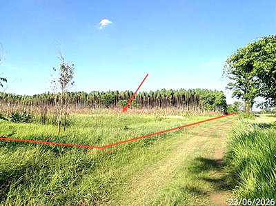 LAND 8416.6 Sq.w. Aranyaprathet Srakaeo for 9.4M