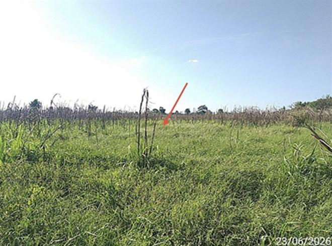 picture LAND 8416.6 Sq.w. Aranyaprathet Srakaeo for 9.4M - 7/25