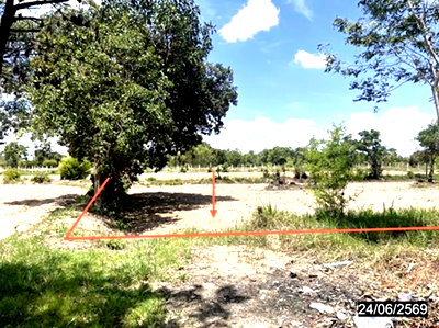 Land for sale Roi Et : LAND 1752.6 Sq.w. Muang Sruang Roi Et for 877,000