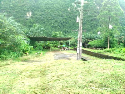 Factory for sale Krabi : FACTORY 465 Sq.w. Ao Luk Krabi for 2M