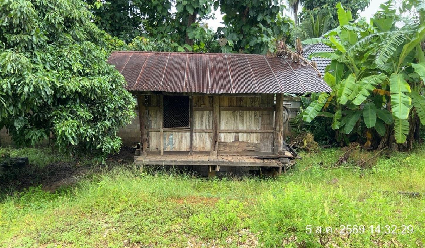 รูป บ้านเดี่ยว 288 ตร.วา เชียงแสน เชียงราย 3.1M - รูปที่ 23/27