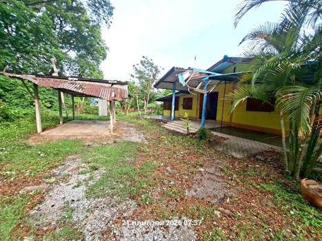 picture HOME 140 Sq.w. Sao Hai Saraburi for 1.6M - 34/37