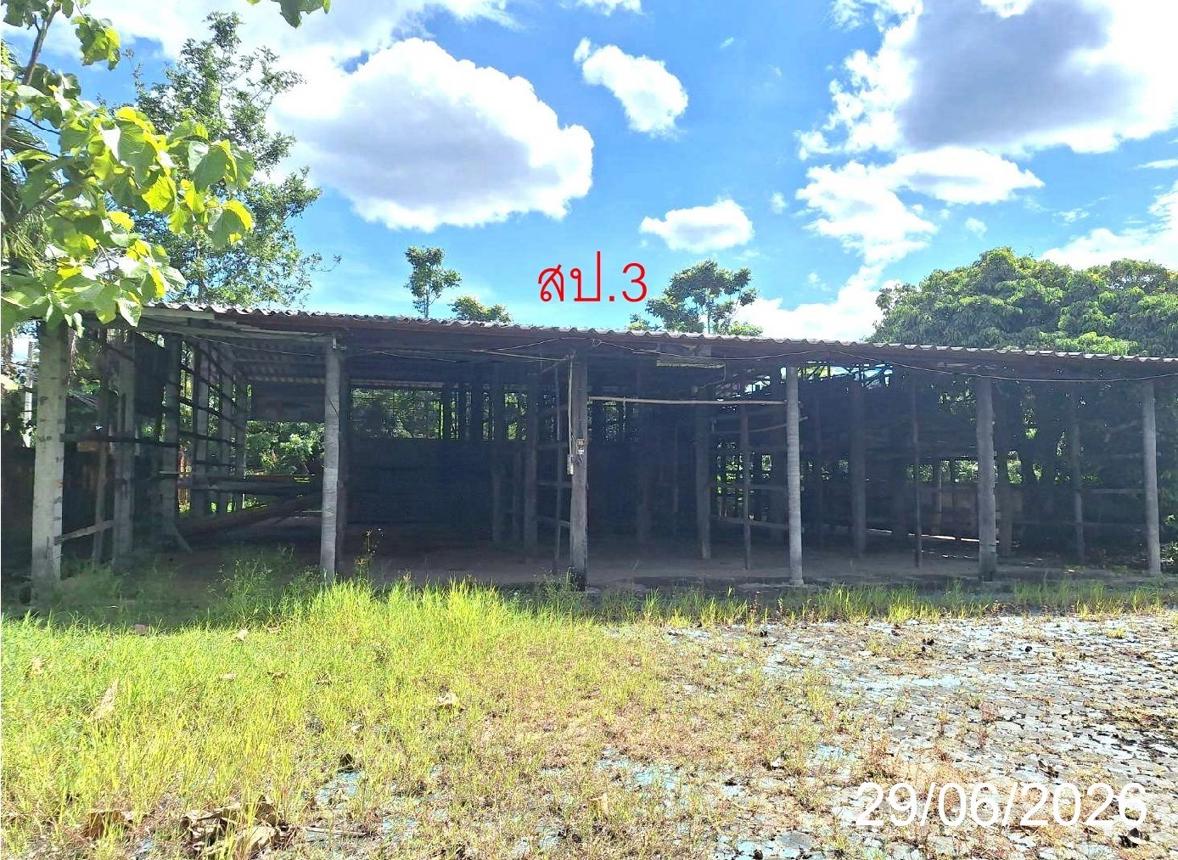 รูป บ้านเดี่ยว 361 ตร.วา ป่าซาง ลำพูน 2.6M - รูปที่ 47/55