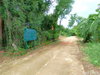 listing thumbnail image 24