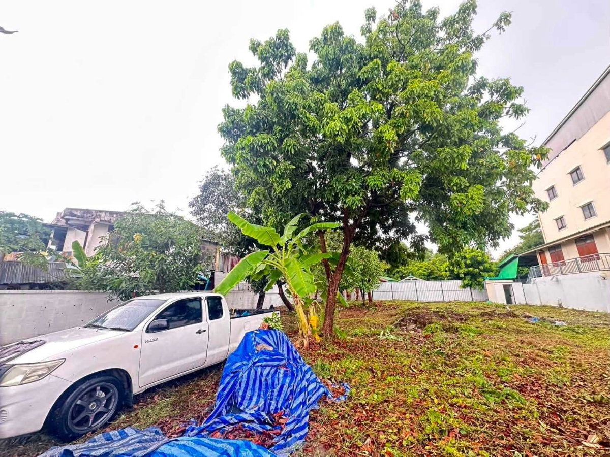 รูป LTH16091 - Prime Land for Sale Pridi 14 | 166 sq.w. | 2 Title Deeds | BTS Phra Khanong | 24.9 MB | ที่ดินทำเลดีขาย ปรีดีพนมยงค์ - รูปที่ 3/5