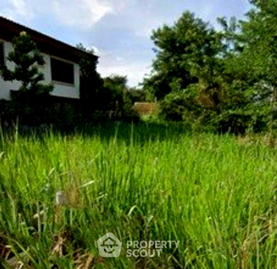 ที่ดิน วัดสุวรรณประดิษฐ์ (วัดช่างคำน้อย) : ที่ดิน 294 ตร.ม. ทำเลแม่เหียะ เมืองเชียงใหม่ (ID 3230198)