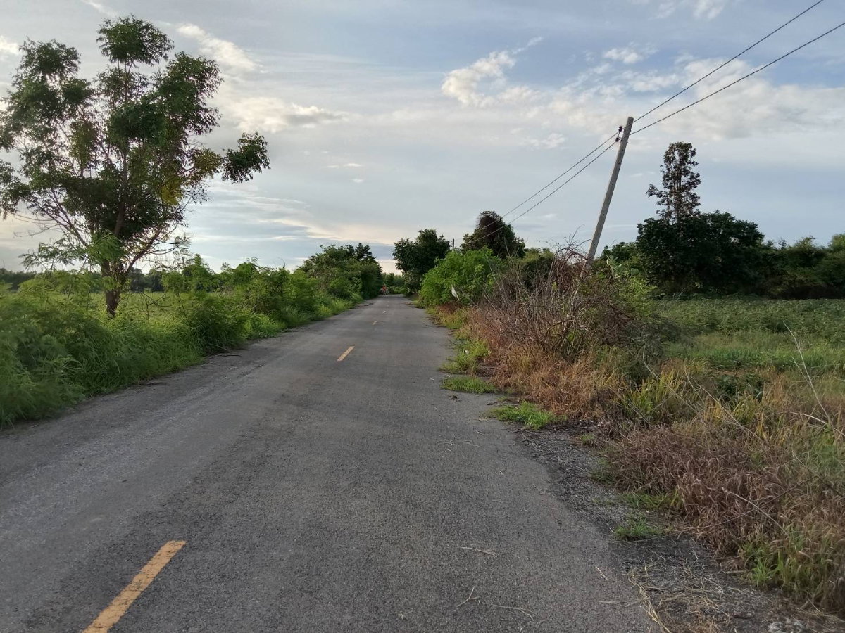 picture Land for Sale In Phu Wiang,Khon Kaen,Thailand - 2/4