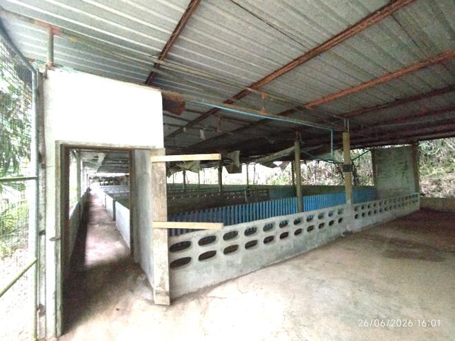 รูป บ้านเดี่ยว 4455.3 ตร.วา ตะกั่วทุ่ง พังงา 3.8M - รูปที่ 10/37