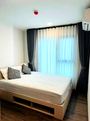 คอนโดให้เช่า : 🏢 ให้เช่า 𝗞𝗮𝘃𝗲 𝗪𝗼𝗻𝗱𝗲𝗿𝗹𝗮𝗻𝗱 | ห้องมุม | ตรงข้าม ม.ธรรมศาสตร์ รังสิต