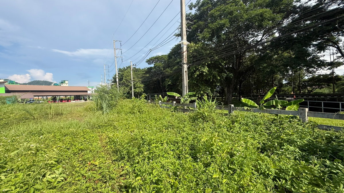 รูป ที่ดินพร้อมอาคาร ติดถนนใหญ่ หน้า ม.แม่ฟ้าหลวง จ.เชียงราย - รูปที่ 18/44