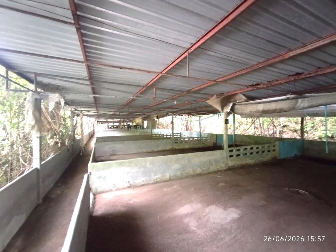 รูป บ้านเดี่ยว 4455.3 ตร.วา ตะกั่วทุ่ง พังงา 3.8M - รูปที่ 27/37