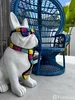 listing thumbnail image 5