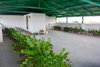listing thumbnail image 62