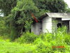 listing thumbnail image 18