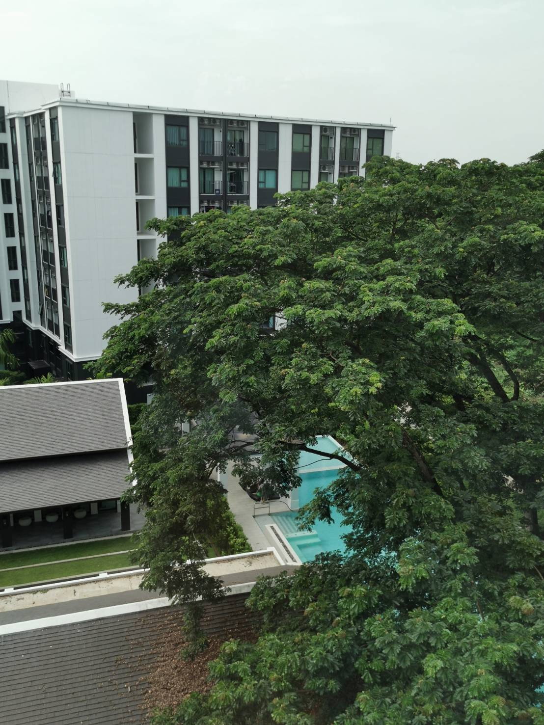 🌊🏢 ให้เช่า Escent Park Ville | ห้องวิวสระว่ายน้ำ | ชั้น 7 อาคาร B | ว่าง 7 กันยายน 2569