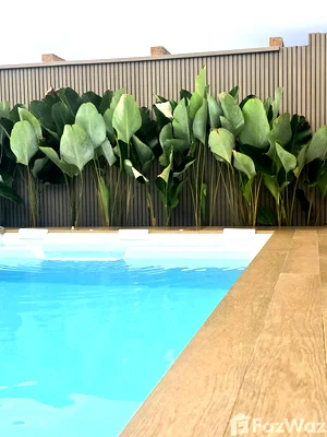 Houses for sale Surat Thani : 2 Bedroom Villa for sale in Maenam, Surat Thani  5913115