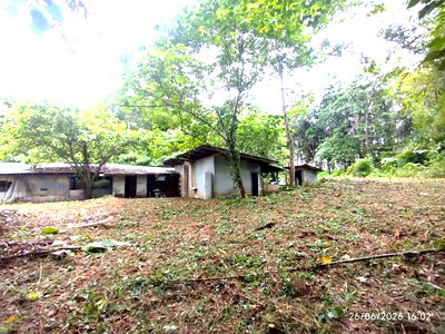 บ้านเดี่ยว พังงา : บ้านเดี่ยว 4455.3 ตร.วา ตะกั่วทุ่ง พังงา 3.8M