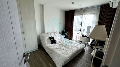 Condos for sale : 🚩 For Sell Condo KENSINGTON KASET CAMPUS Building 1, Floor 12A,2 bed room, Room size 49 sqm