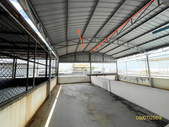 picture SHOP HOUSE 32 Sq.w. Krathum Baen Samut Sakhon for 5.4M - 20/45