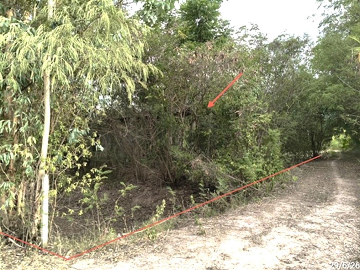 picture LAND 277 Sq.w. Muang Surin Surin for 824,000 - 9/17