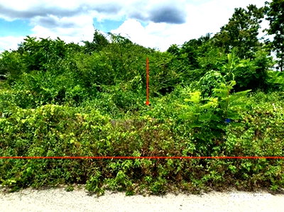 ที่ดิน ดอกคำใต้ พะเยา : ที่ดินว่างเปล่า 349.3 ตร.วา ดอกคำใต้ พะเยา 1.2M