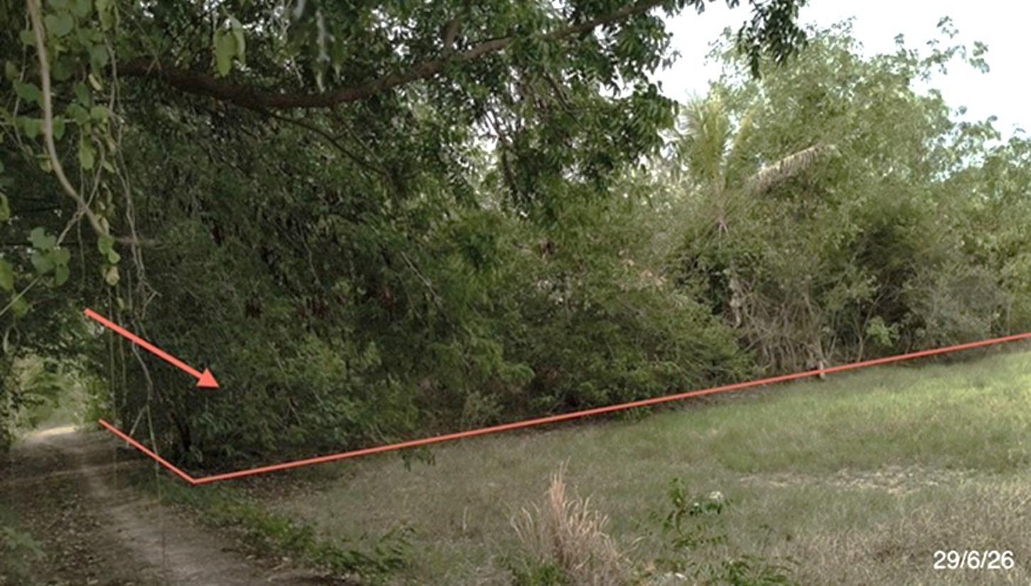 picture LAND 277 Sq.w. Muang Surin Surin for 824,000 - 10/17