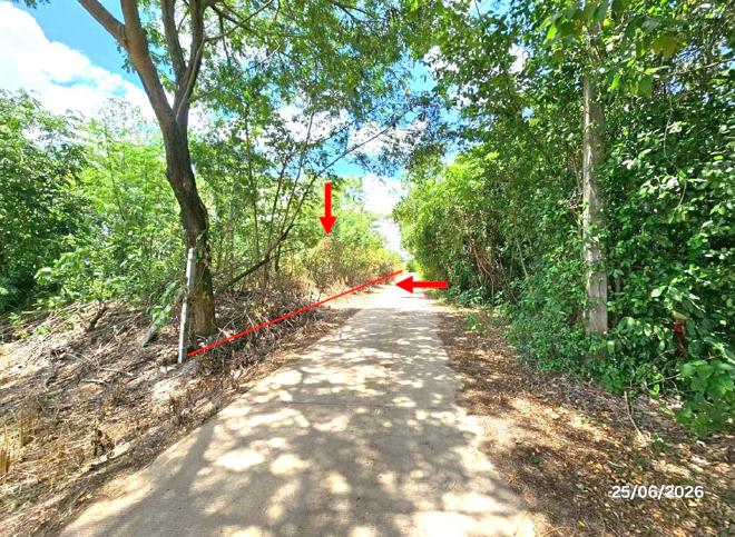 picture LAND 6391.3 Sq.w. Tron Uttaradit for 7M - 5/21