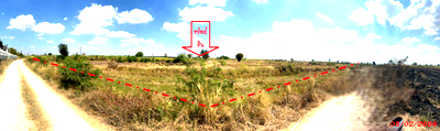 Land for sale Nakhon Ratchasima : LAND 12377 Sq.w. Dan Khun Thot Nakhon Ratchasima for 7.4M