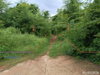 listing thumbnail image 26