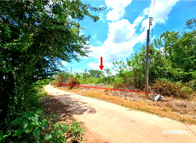 Land for sale : LAND 6391.3 Sq.w. Tron Uttaradit for 7M