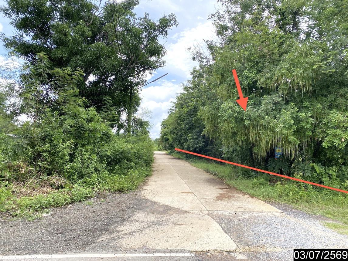 รูป ที่ดินว่างเปล่า 2956 ตร.วา นากลาง หนองบัวลำภู 5M - รูปที่ 17/25