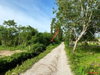 listing thumbnail image 20