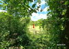 listing thumbnail image 16
