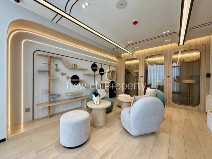 รูป [For Rent] โมดิช วอลท์ เกษตร ศรีปทุม 〰️ เลี้ยงสัตว์ได้ ไม่ต้องแอบ ส่วนกางหรู🐶 - รูปที่ 11/14