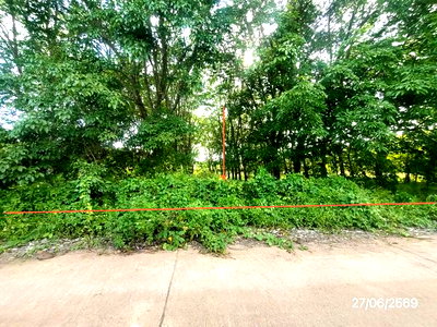 Land for sale : LAND 1070 Sq.w. Phu Sang Phayao for 2M