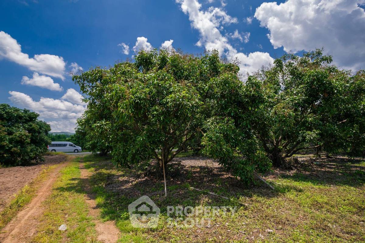 รูป ที่ดินทำเลป่าฝ้าย สันทราย เชียงใหม่ สำหรับขาย (ID 3215985) - รูปที่ 5/8