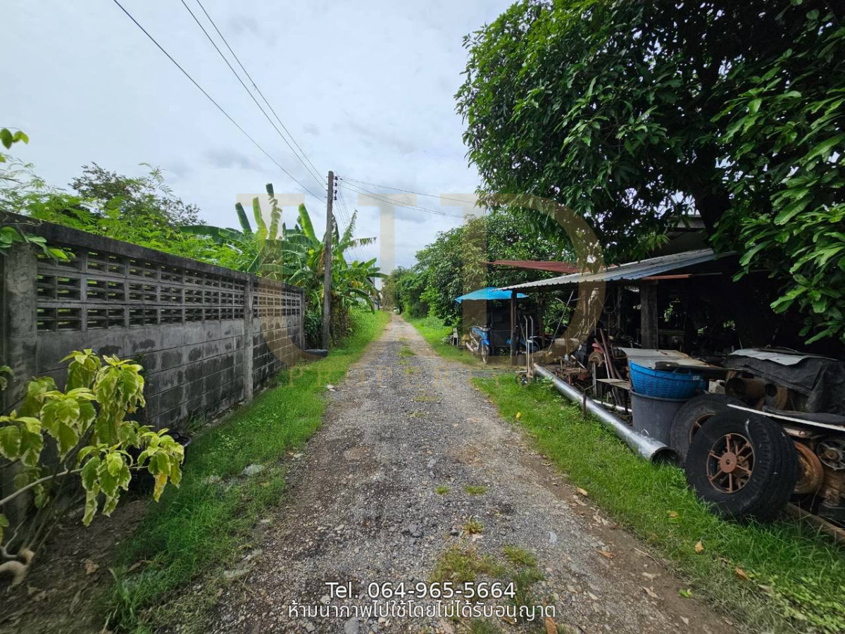 รูป ขายที่ดินถมแล้ว 100 ตร.ว. ซอยหนองระแหง 4 คลองสามวา แปลงสวย ทรงสี่เหลี่ยมจัตุรัส เหมาะสำหรับสร้างบ้านอยู่อาศัย  - รูปที่ 8/9