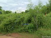 listing thumbnail image 27