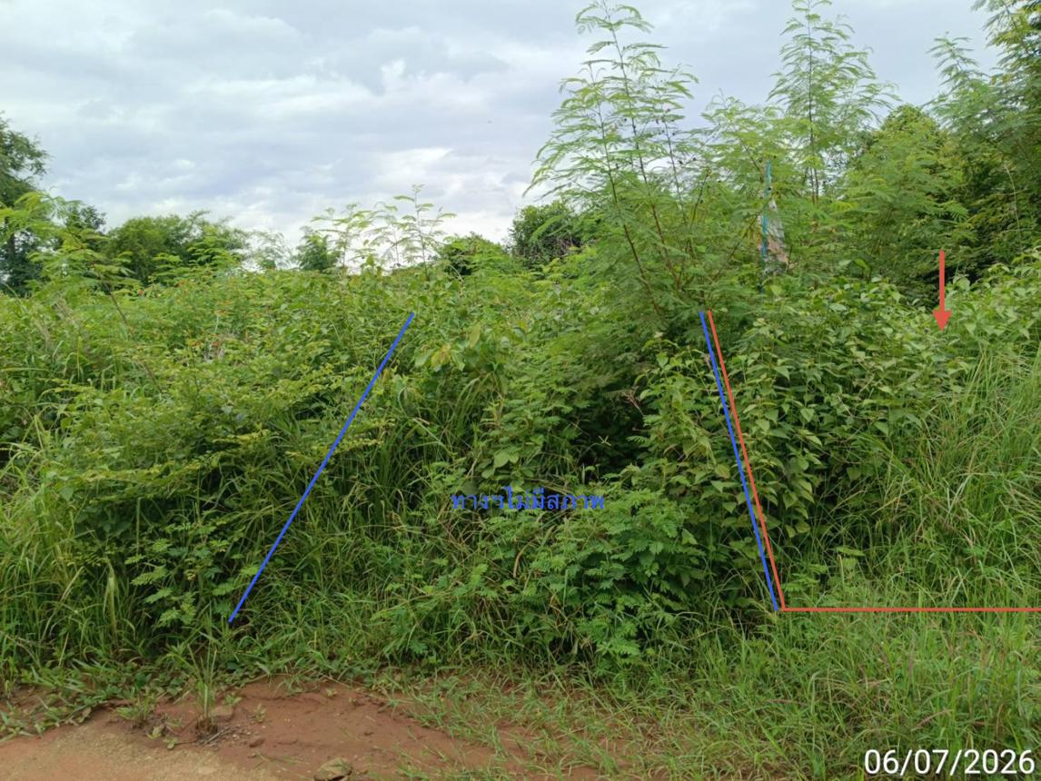 รูป ที่ดินว่างเปล่า 2774 ตร.วา เขาค้อแกรนด์วิลล์ เมืองเพชรบูรณ์ เพชรบูรณ์ 1.6M - รูปที่ 28/35