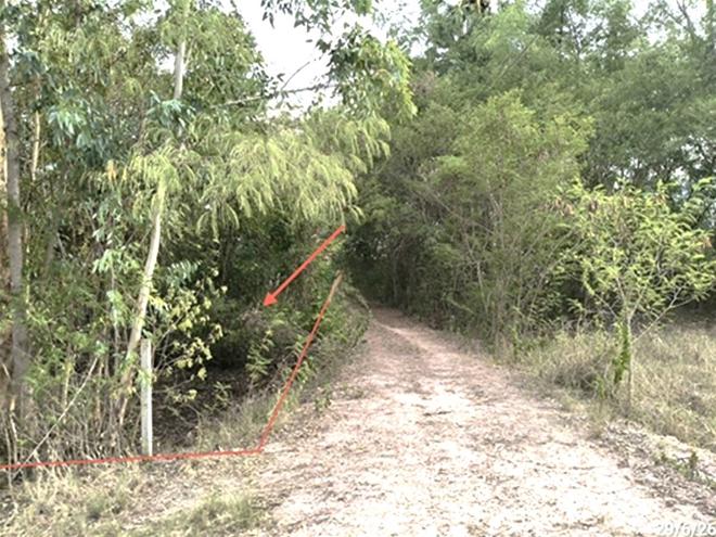 picture LAND 277 Sq.w. Muang Surin Surin for 824,000 - 5/17