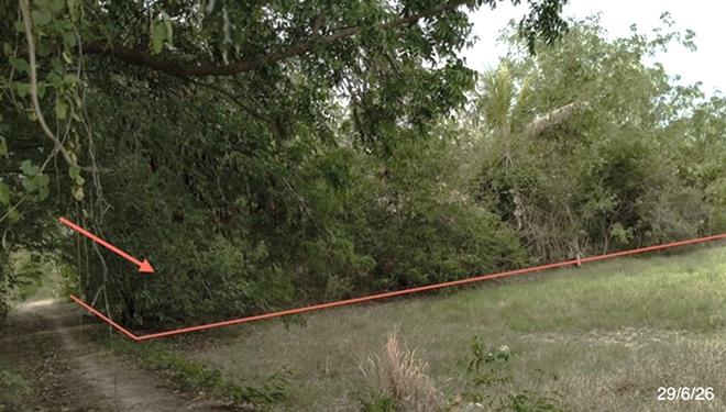 picture LAND 277 Sq.w. Muang Surin Surin for 824,000 - 4/17