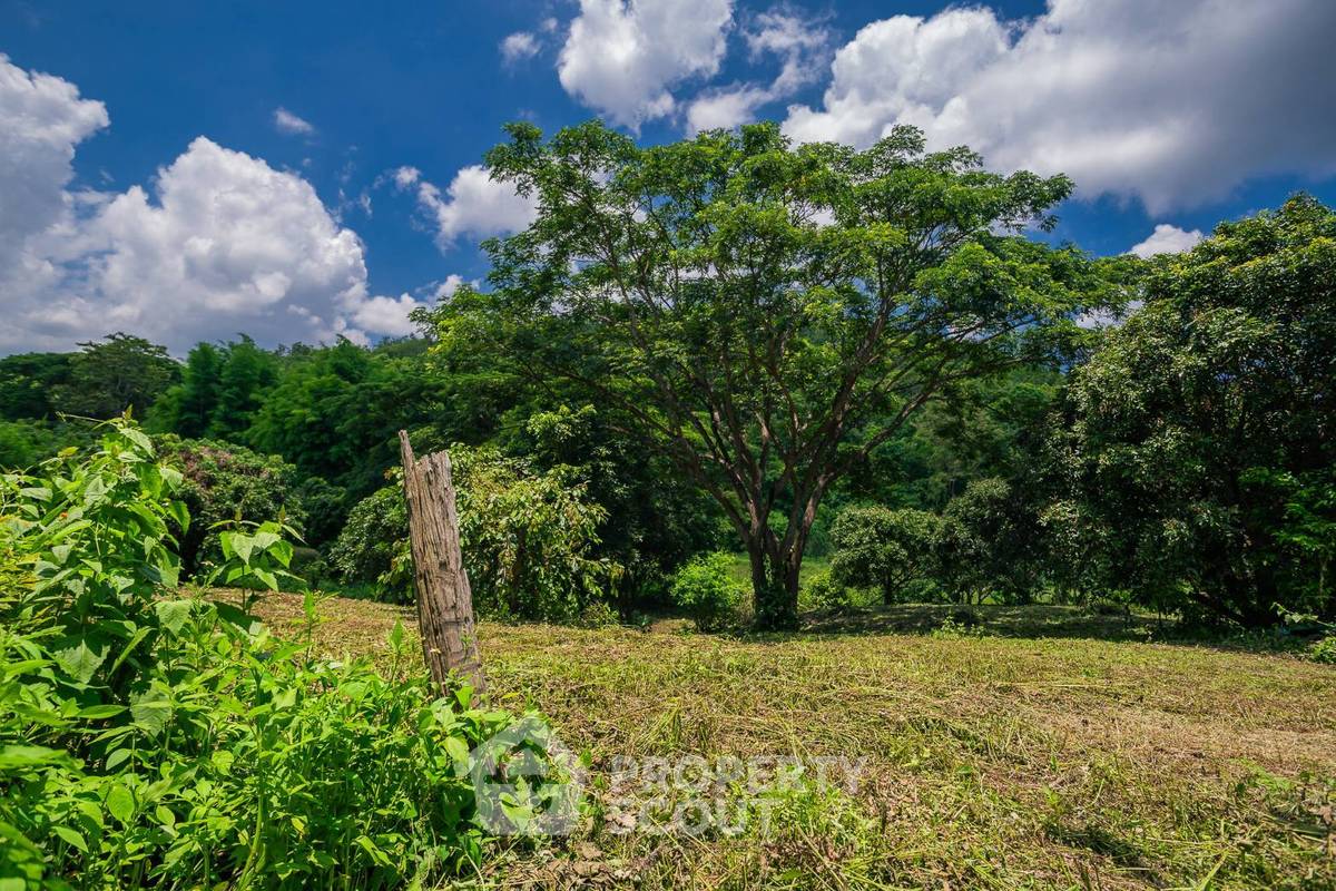 รูป ที่ดินทำเลป่าฝ้าย สันทราย เชียงใหม่ สำหรับขาย (ID 3215985) - รูปที่ 8/8