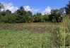 listing thumbnail image 25
