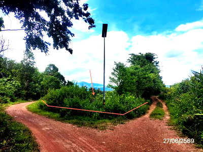 Land for sale : LAND 2402 Sq.w. Phu Sang Phayao for 730,000